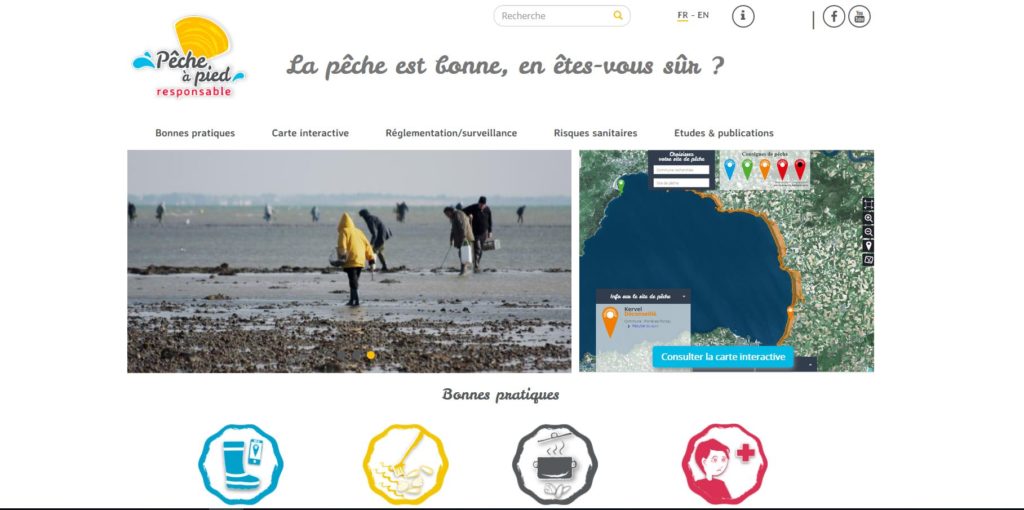 Accueil du nouveau site