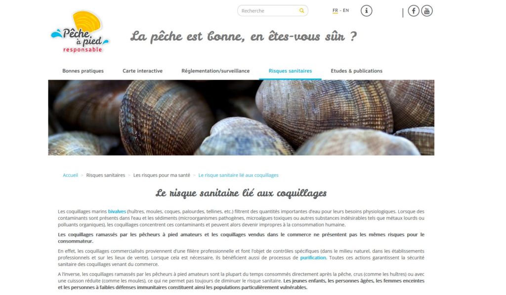 Un contenu simplifié pour l'utilisateur
