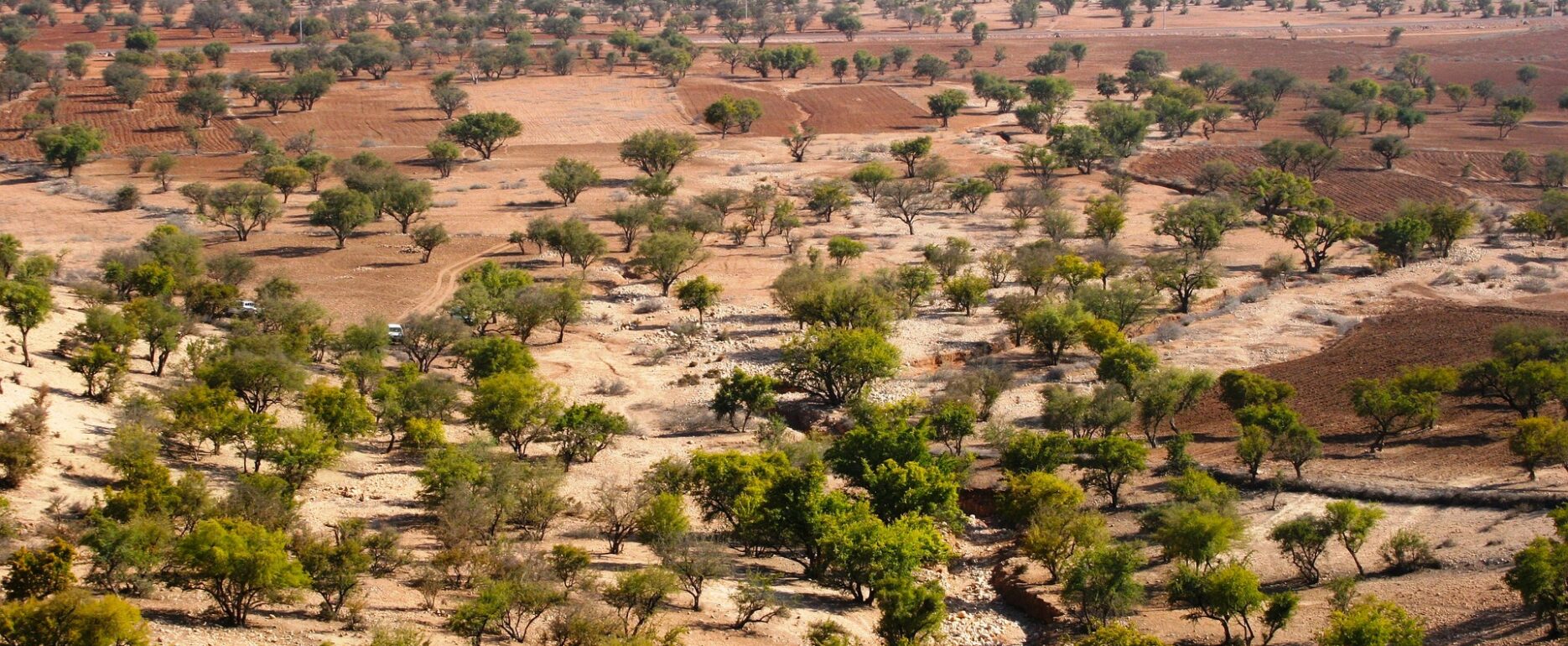 GEOFIT est intervenu pour assurer les études d'exécution et le suivi topographique des implantations de la STEP d’Abdelmoumen.