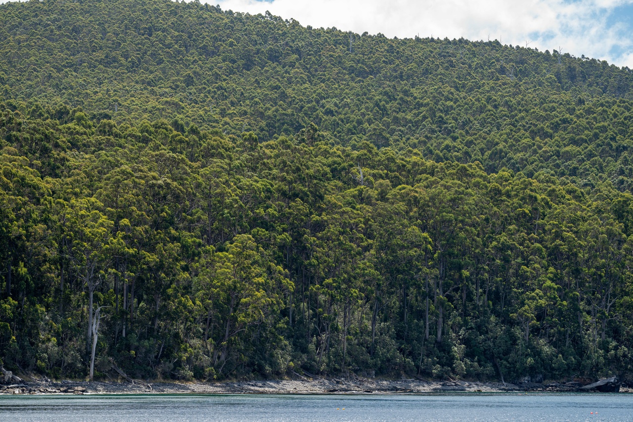 Gestion forestière au Chili acquisition LiDAR