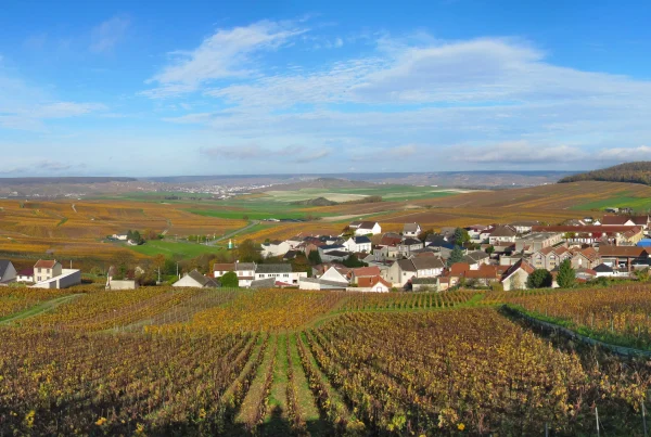 Le projet de déviation autour de Vauciennes prévoit la construction d'un viaduc pour réduire le flux de véhicules.